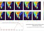 provide gis mapping and remote sensing analysis